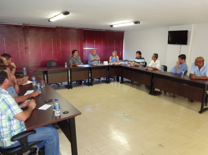 Conselho Técnico - Divisão de Acesso 2013